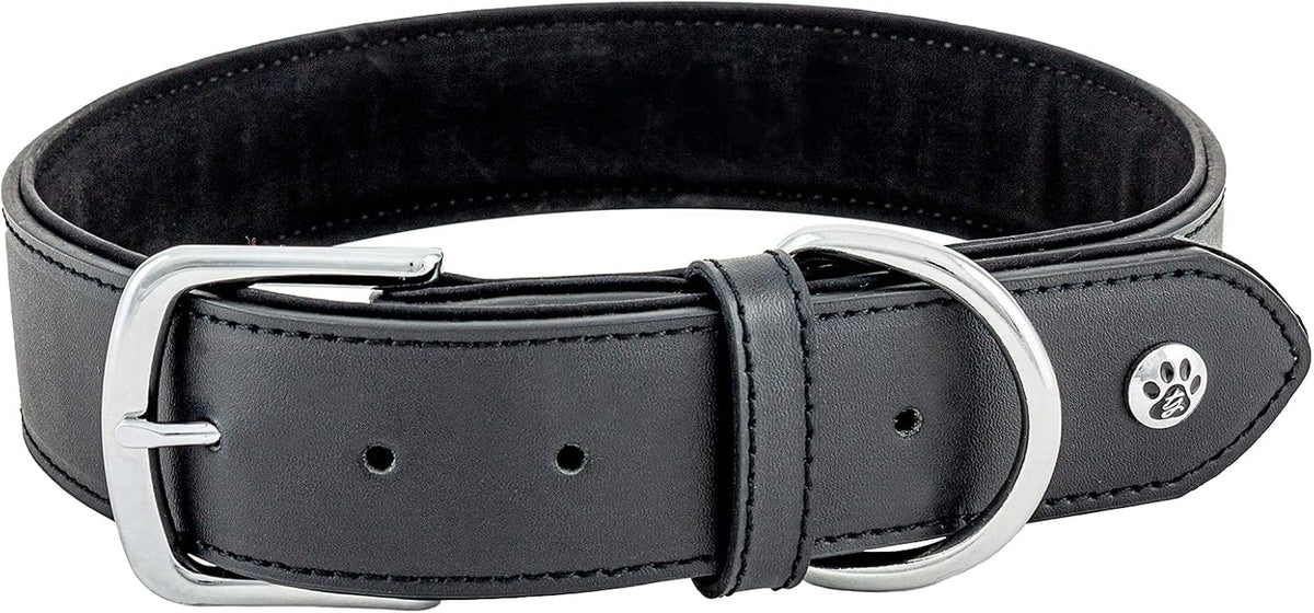 Pet Collection Padded Cute Dog Collar, Leather Dog Collar for Small Dogs, Black, Small