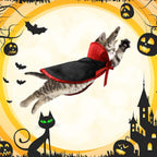 5 Pcs Cat Halloween Vampire Costume Halloween Pet