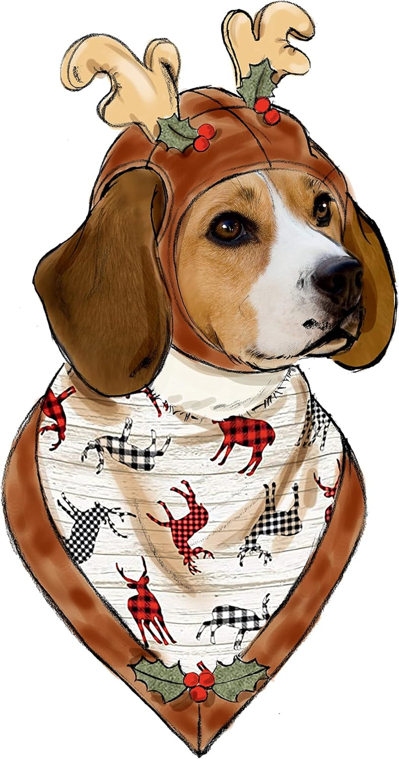 S9497 Pet Accessories Sewing Pattern, Sizes S-L
