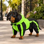 Pet Apparel Large Dog Clothing Raincoat Pet Clothes Rain Coat for Big Large Dogs Red Green Waterproof (L-M, Green)