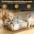 15L/4Gal Stainless Steel Dog Water Fountion Pet Fountain,1Set Filter