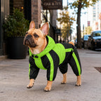 Pet Apparel Large Dog Clothing Raincoat Pet Clothes Rain Coat for Big Large Dogs Red Green Waterproof (L-M, Green)