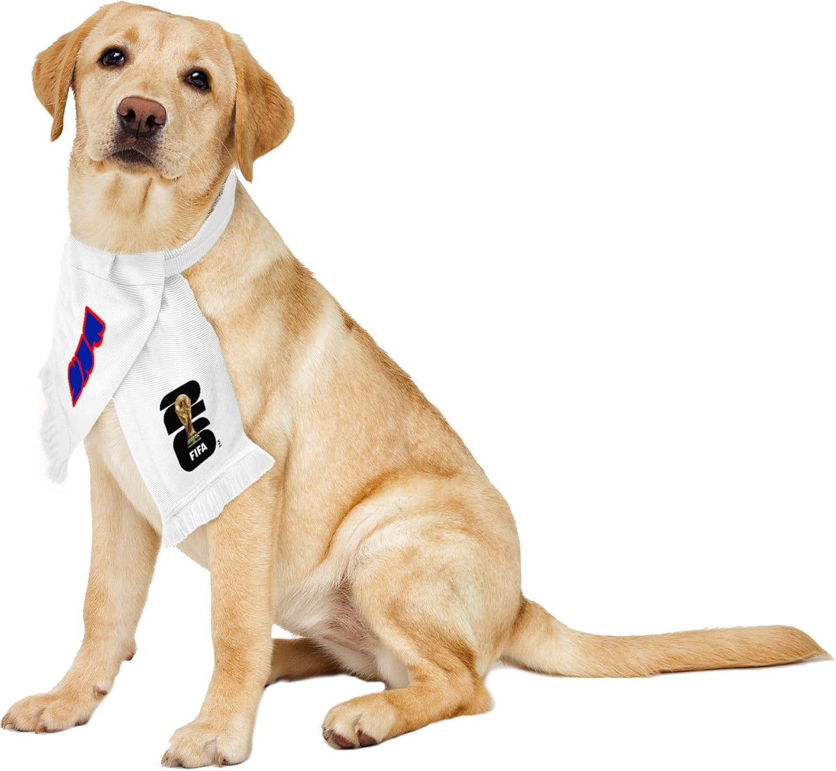 Pet Soccer Team Scarf - Officially Licensed FIFA 2026 Pet Apparel Comes in 13 Fan-Favorite Country Designs