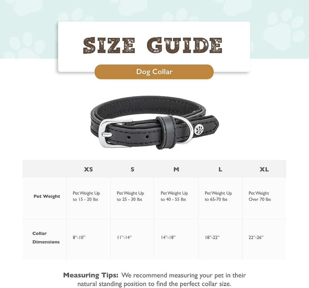 Pet Collection Padded Cute Dog Collar, Leather Dog Collar for Small Dogs, Black, Small