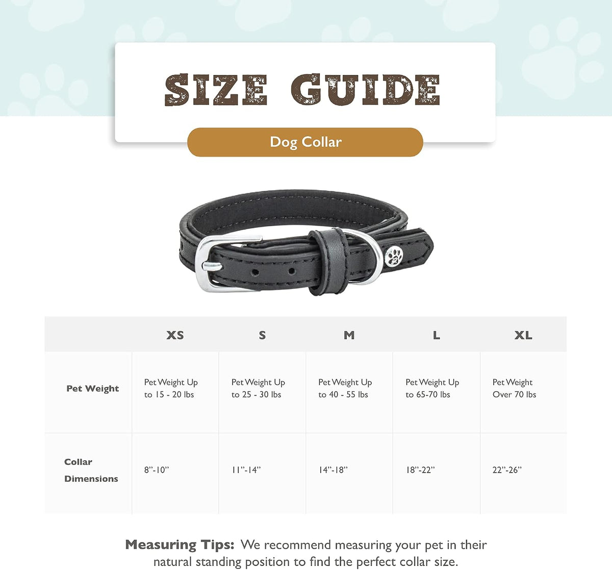 Pet Collection Padded Cute Dog Collar, Leather Dog Collar for Small Dogs, Black, Small