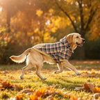 Plaid Dog Hoodie - British Style Warm Dog Sweater Shirt with Leash Hole,Pitbull Clothes Outfits,Winter Coat Apparel for All Breeds Puppy Girl Boy-Cat Apparel,Beige Xl-Xxlarge