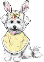 S9497 Pet Accessories Sewing Pattern, Sizes S-L