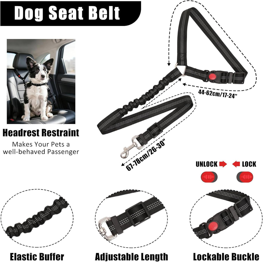 Dog Harness Collar and Leash Set - Dog Halter Harnesses Fits Small Medium Dogs (Black-M)