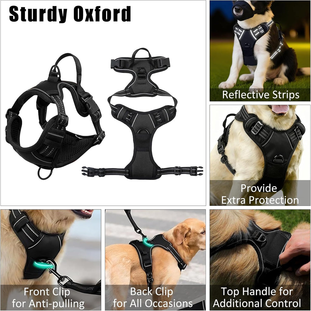 Dog Harness Collar and Leash Set - Dog Halter Harnesses Fits Small Medium Dogs (Black-M)