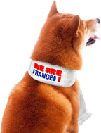 Pet Soccer Team Scarf - Officially Licensed FIFA 2026 Pet Apparel Comes in 13 Fan-Favorite Country Designs