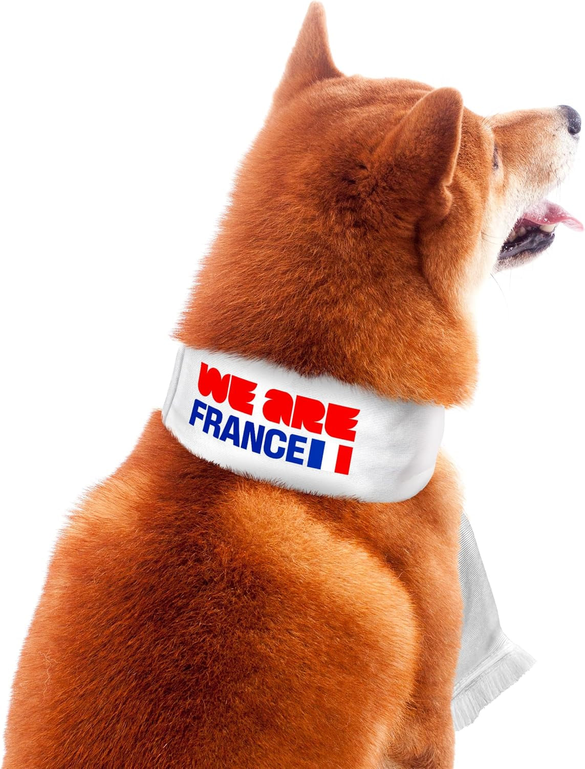 Pet Soccer Team Scarf - Officially Licensed FIFA 2026 Pet Apparel Comes in 13 Fan-Favorite Country Designs