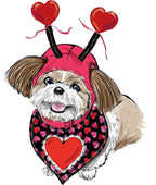 S9497 Pet Accessories Sewing Pattern, Sizes S-L