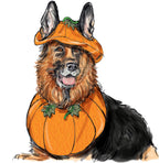 S9497 Pet Accessories Sewing Pattern, Sizes S-L