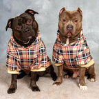 Plaid Dog Hoodie - British Style Warm Dog Sweater Shirt with Leash Hole,Pitbull Clothes Outfits,Winter Coat Apparel for All Breeds Puppy Girl Boy-Cat Apparel,Beige Xl-Xxlarge