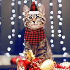 6Pcs Christmas Pet Costume Accessories Kit White Red Black Buffalo Check Plaids Dog Bandana Christmas Hat Adjustable Bow Tie Collar Pet Triangle Bib Kerchief Dog Scarf for Cat Puppy Dog, M