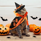 5 Pcs Cat Halloween Vampire Costume Halloween Pet