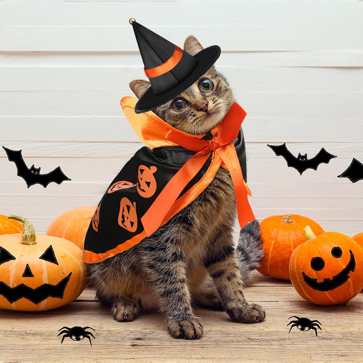5 Pcs Cat Halloween Vampire Costume Halloween Pet