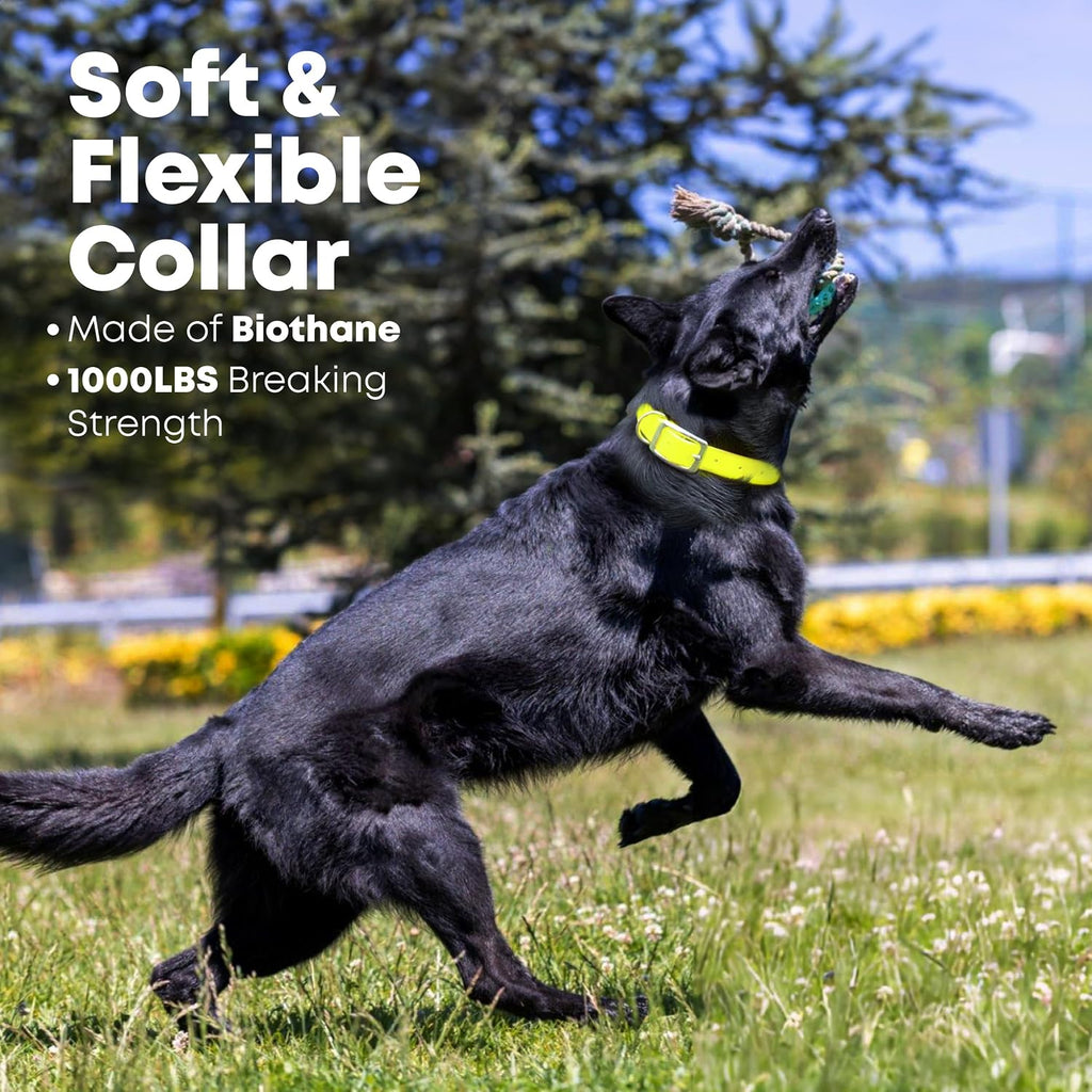 Waterproof Dog Collar, Nickel Double, Large Yellow