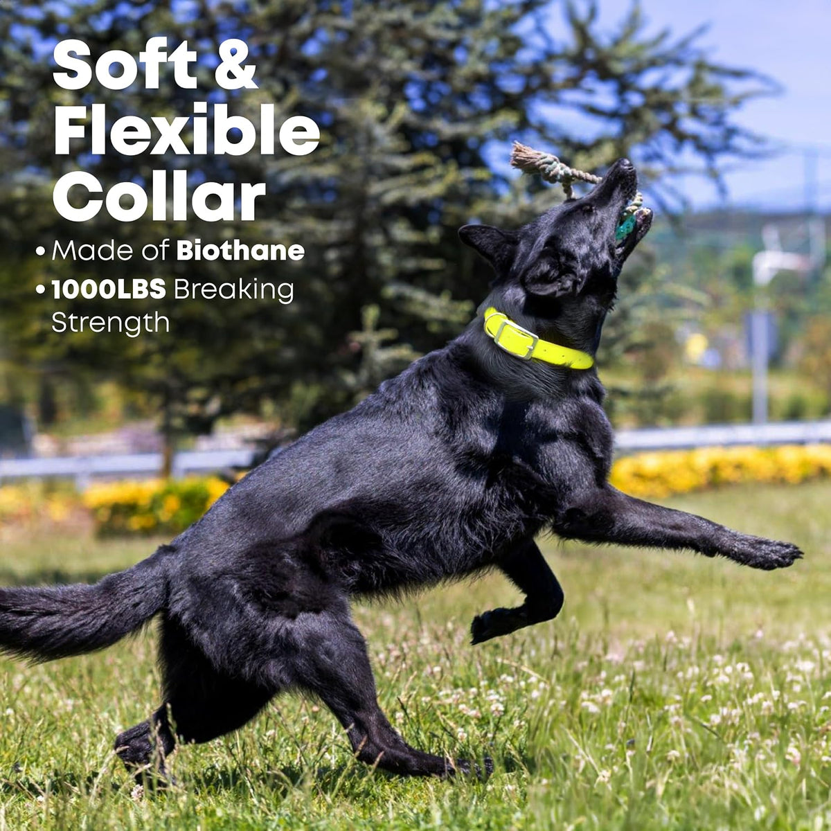 Waterproof Dog Collar, Nickel Double, Large Yellow